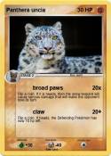 Panthera uncia
