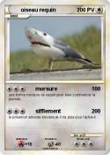 oiseau requin