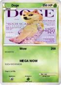 Doge