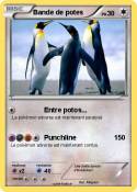 Bande de potes