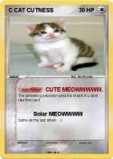C CAT CUTNESS