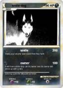 smile dog