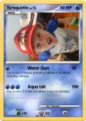 Torsquirtle