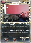 MR BARK