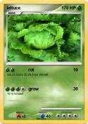 lettuce
