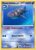 Requin Baleine