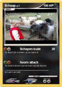 Schaap