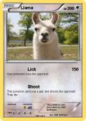 Llama