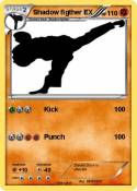 Shadow figther