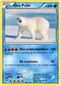 Oso Polar