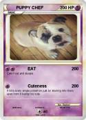 PUPPY CHEF