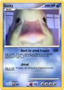 Ducky