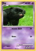 Pug
