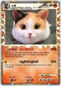 cat