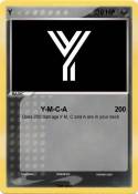 Y