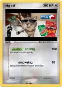 mlg cat