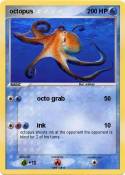 octopus