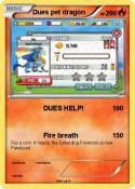 Dues pet dragon