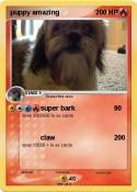 puppy amazing