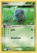 chaton