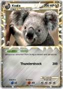 Koala