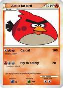 Just a fat bird