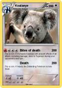 Koalaeye