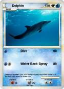 Dolphin