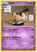 souris