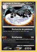 Reshiram & Zekr
