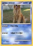 golden retrieve