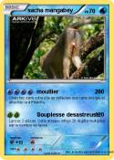 sacha mangabey
