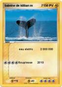 baleine de kill