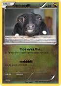 darn goat!!!