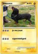 beauceron