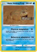 Water Holding