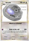 Vacuole