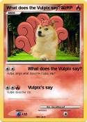 What does the