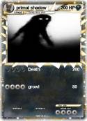 primal shadow