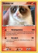 Grumpy cat