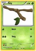Twig