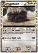 pugggggggg!
