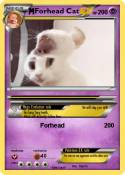 Forhead Cat