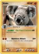 Koala