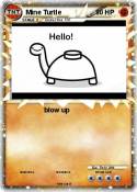 Mine Turtle