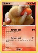 hamster