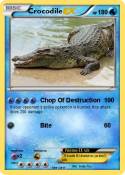 Crocodile