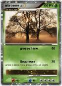 arbrosore