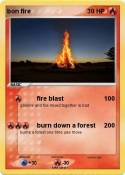bon fire