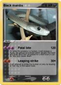 Black mamba